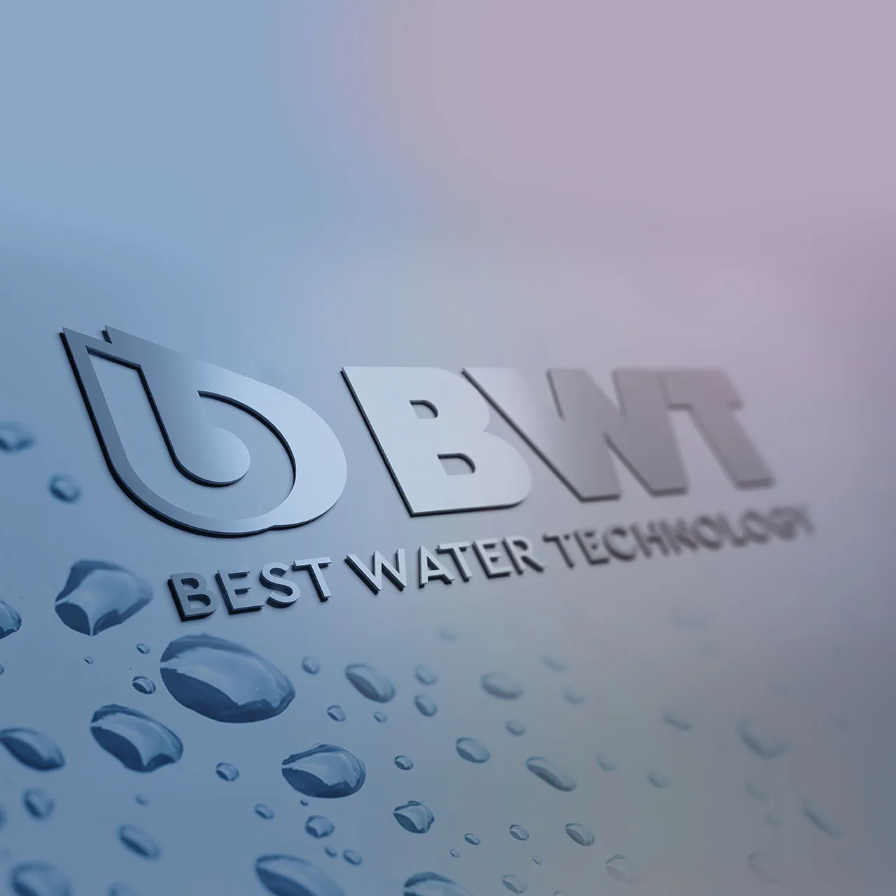 Aperçu de la page d'accueil du site bwt.com